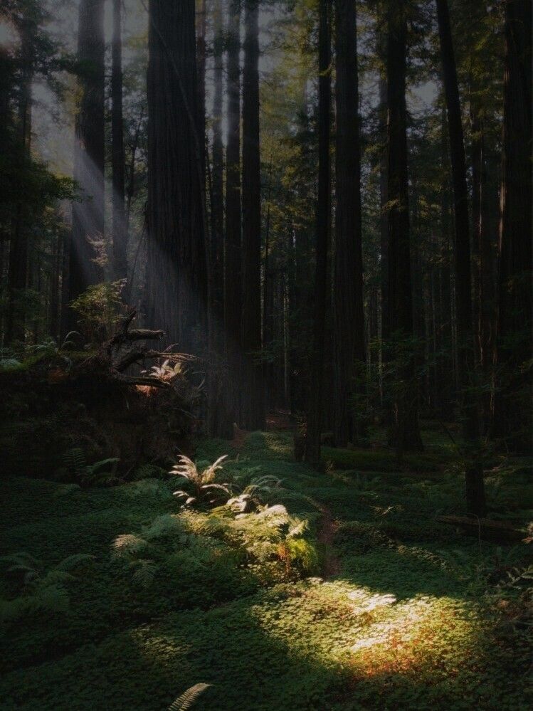 Foto von Landon Parenteau auf Unsplash