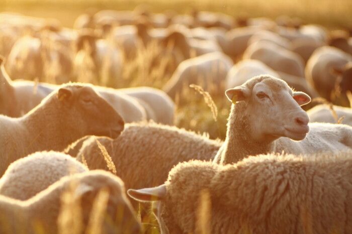 Qualität und Zertifikate